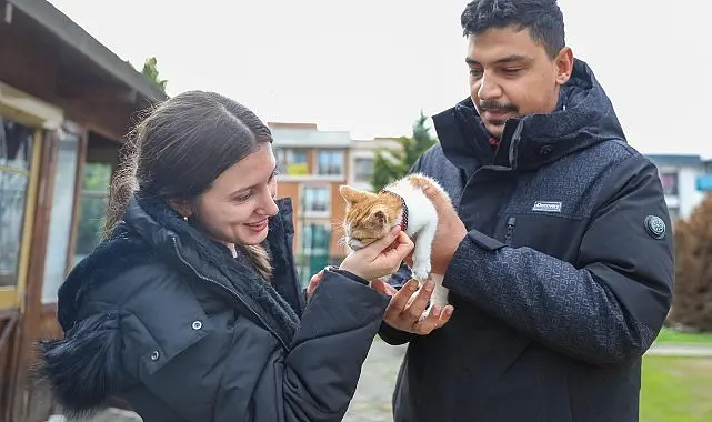 Ağır yaralı olarak geldiği Buca Belediyesi Sokak Hayvanları Rehabilitasyon Merkezi’nde