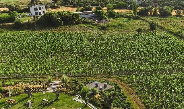 “2024 Yeşil Destinasyonlar En İyi 100 Hikaye” listesine seçilen Urla