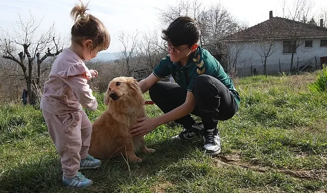 Kocaeli’de can dostların daha iyi şartlarda yaşaması için yeni projeleri