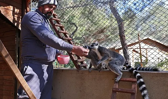 Antalya’da kış aylarının en soğuk günleri etkili olurken, Antalya Büyükşehir