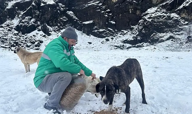 Canik Belediyesi, kar yağışının ve soğuk havanın etkili olduğu ilçenin