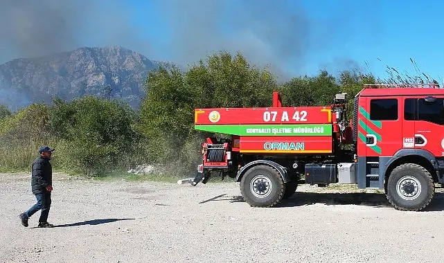 Kemer ilçe merkezinde henüz belirlenemeyen bir nedenle ormanlık ve sazlık